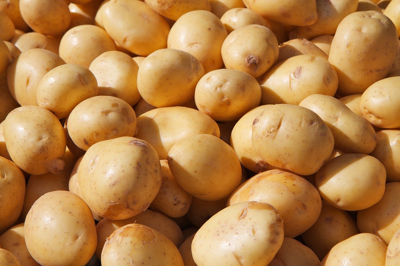 potato, coarse cereals, grains, food, from china, potato, potato, potato, potato, potato